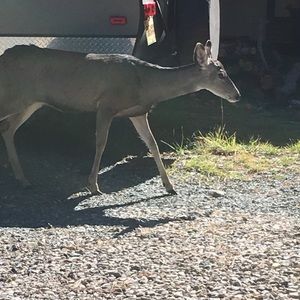 Meet your Posher, Carlos